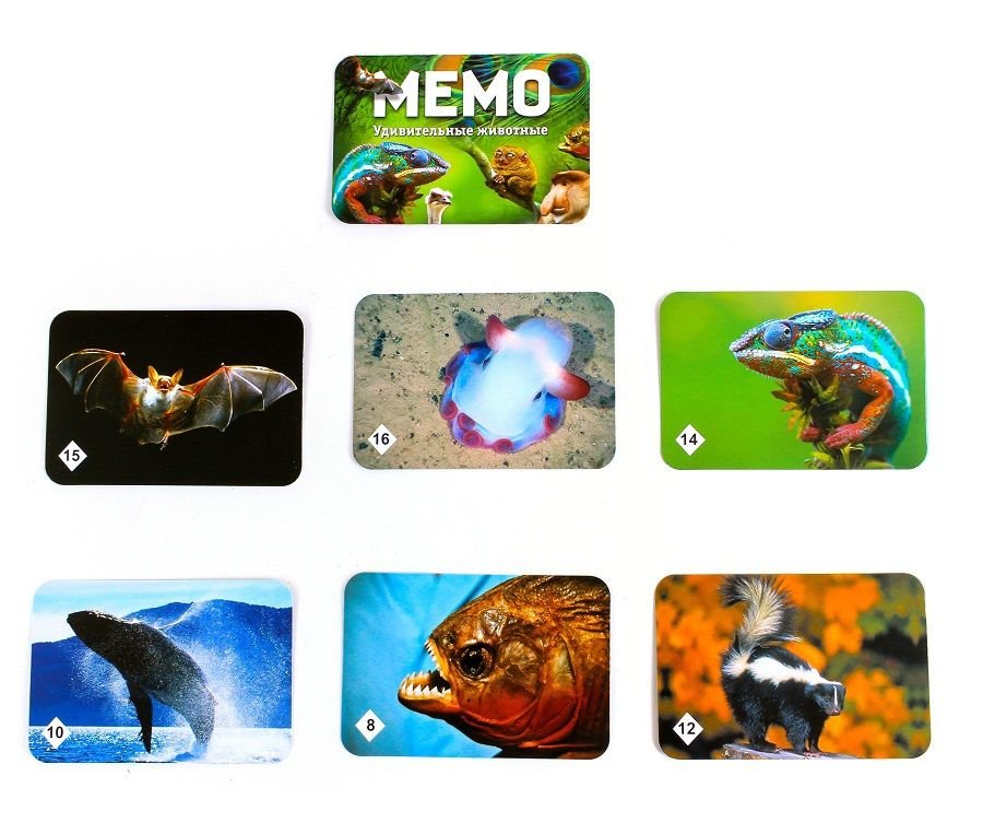 Настольная игра Мемо Удивительные животные